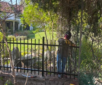 Wrought iron fence 046